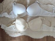 95B, 2 neue Push Up BHs! - Lucka