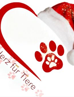 Auf der Suche nach Tierutensilien zur Abgabe an Tierheime - Ertingen