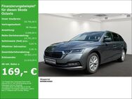 Skoda Octavia, 2.0 TDI Com Style, Jahr 2023 - Wuppertal