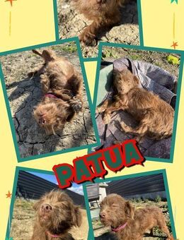 Kleine Patua will ins Warme! - Nürnberg