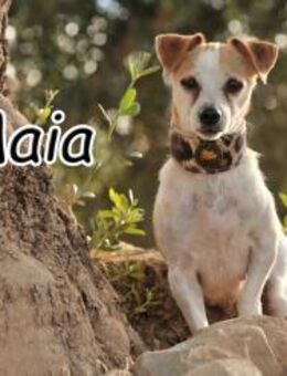 Bezaubernde Maia sucht dich🍀 - Essingen (Rheinland-Pfalz)