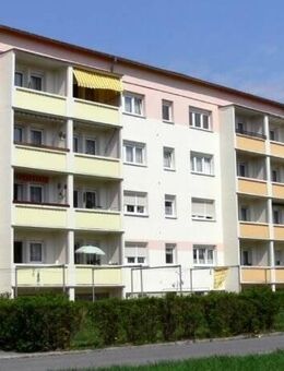 Renovierte 1-Raum-Wohnung [309/002] in Oppach - Oppach