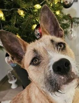 CLOE ist auf Suche nach dem Glück - Hof