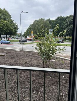 Erstbezug ! 3-Zimmer-Wohnung St.Jürgen ! - Lübeck
