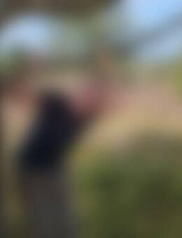 1El*** - Neubrandenburg