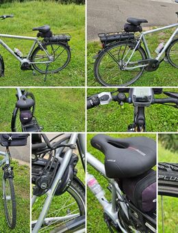 E-Bikes von Falter P9.5E - Gaggenau