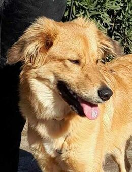 Otschi, noch ausbaufähig - Hückelhoven