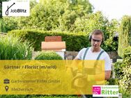 Gärtner / Florist (m/w/d) - Mechernich