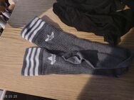 Schöne Socken (Adidas) und Strümpfe (Sissy) - Kiel