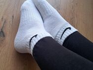 getragene Socken - Dessau-Roßlau