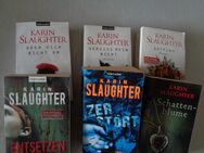 Bücherpaket der bekannten amerikanischen Schriftstellerin Karin Slaughter - Hünxe