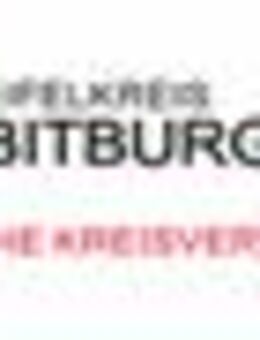 Leitung IT und Digitalisierung (m/w/d) - Bitburg