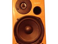 SONY Holzlautsprecher Box Sound Passiv Speaker Musik Ton 🎶 - Inwil