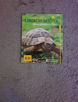 Wir geben 1 Buch über Landschildkröten ab - Erfurt