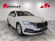 Skoda Octavia, 2.0 TDI Combi First Edition EU6d-T digitales Sitze, Jahr 2020 - Bielefeld