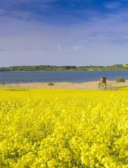 Investorbaugebiet in Ostseenähe - Dassow