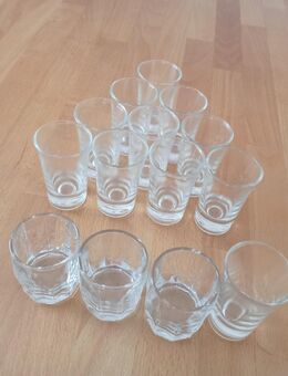 Zu verschenken 10 Schnapsgläser Likörgläser Shot 25 ml 2,5 cl Glas neu Set Party - Eutingen (Gäu)