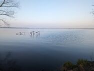 Urlaub am Schwielochsee, - Lübben (Spreewald)