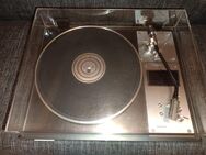 Pioneer PLC-590 - Syke