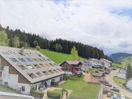 1,5 Zimmer-Wohnung mit Küche in Furtwangen-Neukirch ab sofort zu vermieten - Furtwangen (Schwarzwald)