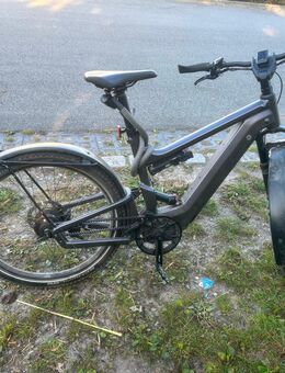 Riese & Müller delite GT mit Rohloff - Steinkirchen (Niedersachsen)