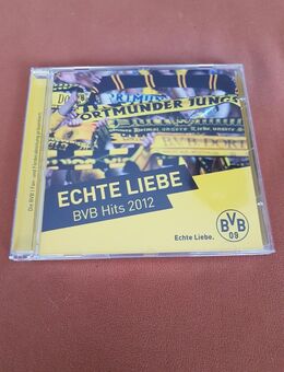 BVB Hits 2012    Echte Liebe - Kassel Brasselsberg