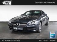 Mercedes SLK 250, , Jahr 2014 - Bad Nauheim