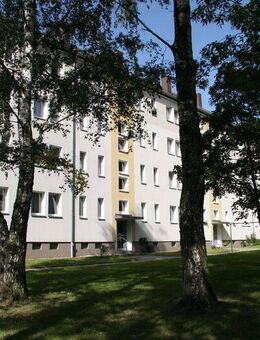 Offenes Wohnen in puncto Gemütlichkeit ganz vorn - Chemnitz