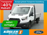 Ford Transit, Pritsche EK 350 L2 Trail, Jahr 2023 - Bad Nauheim