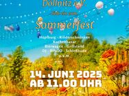 Sommerfest Kleingärtnerverein Döllnitz - Schkopau