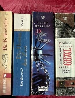 Zum Schmökern! 6 Bücher für Freunde des Mittelalters - Niederfischbach