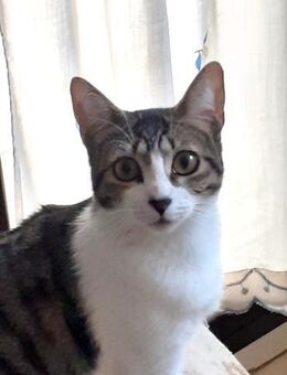 Rayo und Lisi (Bea) - Geisenheim