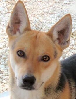 Manto -zurückhaltend, sanft, brauchtZeit - Oldenburg