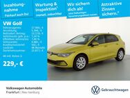 VW Golf, 2.0 TDI VIII IQ Light, Jahr 2020 - Neu Isenburg