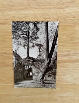 Ansichtskarte-AK-696-Herrenalb-Beim Kloster. - Nörvenich