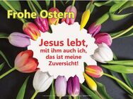 Christliches Poster A1 Ostern - Kreis bunter Tulpen - Christliche Plakate der Edition Katzenstein - Wilhelmshaven Zentrum