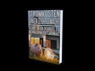 Stromkosten senken leicht gemacht - Hildesheim