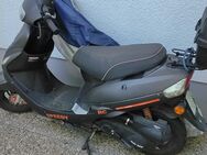 Motorroller - Neustadt (Weinstraße)