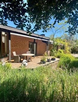 Naturoase - Freistehendes Architektenhaus - Terrasse nach Süden - 1.951 m² Grundstück - Doppelgarage - in ruhige Lage von Rott - kurzfristig verfügbar - Roetgen (Tor zur Eifel)