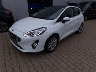 Ford Fiesta Titanium X 1.0 EcoBoost - Bad Oeynhausen