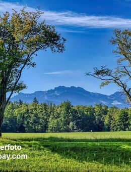 IHR DOMIZIL IN TRAUMLAGE ! Sonnen-verwöhntes Anwesen, mit wunderschönem Alpen-Panorama - Bernau (Chiemsee)