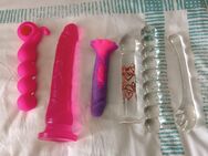 Dildo Set zu verkaufen - Beverungen