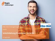 Schichtleitung Produktion (m/w/d) - Apensen