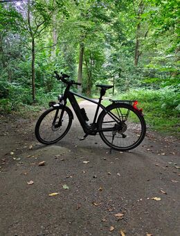 Gemeinsam mit dem Rad das Ruhrgebiet entdecken - Essen