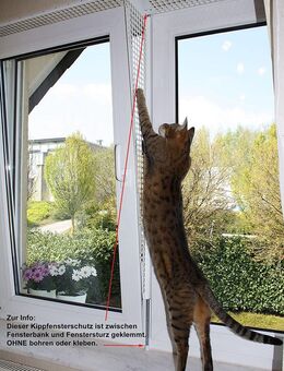Kippfensterschutz für Katzen von austmetall, OHNE BOHREN OHNE KLEBEN - System 4 - Haan
