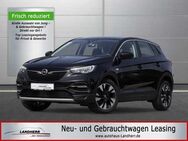 Opel Grandland X 1.2 Innovation // Kamera/Navi/AHK/LED/SHZ - Thannhausen