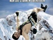 Cliffhanger - Nur die Starken überleben - DVD Renny Harlin, FSK16 - Verden (Aller)