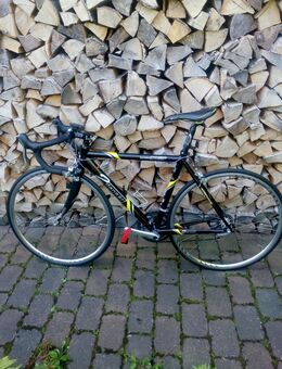 Rennrad 2Danger Giro Comp Ultegra RH 52 - Lindhorst