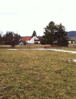 Traumlage: 4148qm in BL-Weilstetten mit 1/2-Familienhaus - Balingen