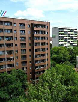 Helle, schöne Wohnung in einem neu sanierten Haus mit einzigartigem Balkonblick über Halle bis ins Mansfelder Land - Halle (Saale)